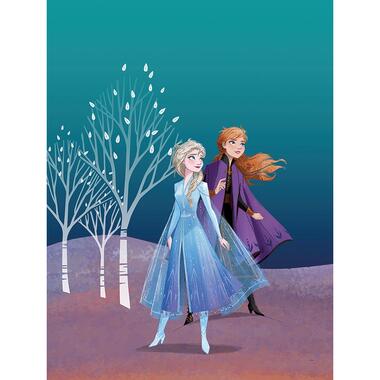 Disney poster - Frozen Anna & Elsa - blauw en paars - 30 x 40 cm product