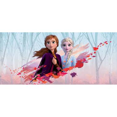 Disney poster - Frozen Anna & Elsa - blauw, paars en oranje - 202 x 90 cm product