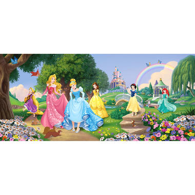 Disney poster - prinsessen - groen, blauw en roze - 202 x 90 cm product