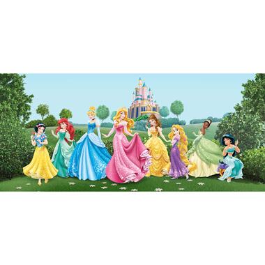 Disney poster - prinsessen - groen, blauw en roze - 202 x 90 cm product