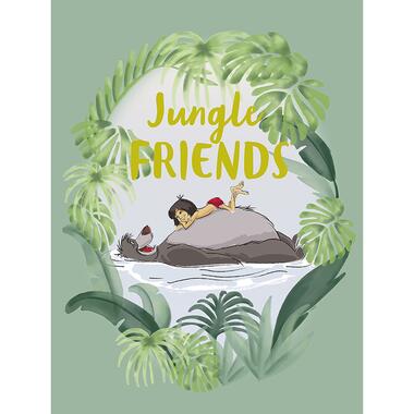 Disney poster - jungle book - groen - 30 x 40 cm - 612708 product