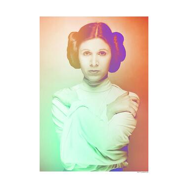 Disney poster - Star Wars Leia - oranje en groen - 30 x 40 cm - 611657 product