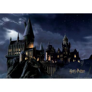 Sanders & Sanders poster - Harry Potter Zweinstein - zwart en donkerblauw product