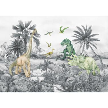 Sanders & Sanders poster - dinosaurussen - grijs - 1.1 x 1.55 m product