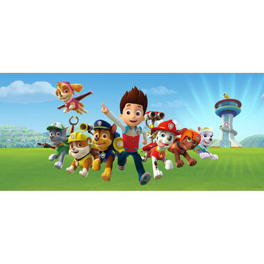 Sanders & Sanders poster - PAW patrol - blauw en groen - 202 x 90 cm product