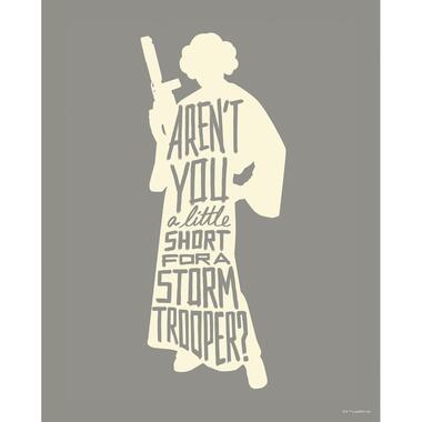 Sanders & Sanders poster - Star Wars - grijs - 40 x 50 cm - 612163 product