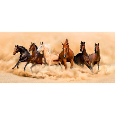 Sanders & Sanders poster - paarden - beige en bruin - 202 x 90 cm product