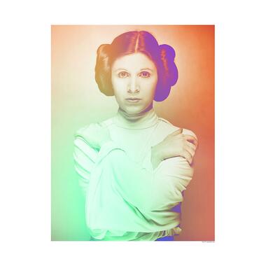 Sanders & Sanders poster - Star Wars Classic Icons Color Leia - oranje en groen product