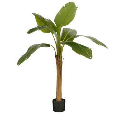 Mica Decorations Kunstplant Bananenboom in Pot - H155 x Ø90 cm - Groen product