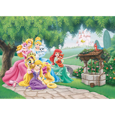 Disney poster - prinsessen - groen, geel en roze - 160 x 110 cm product