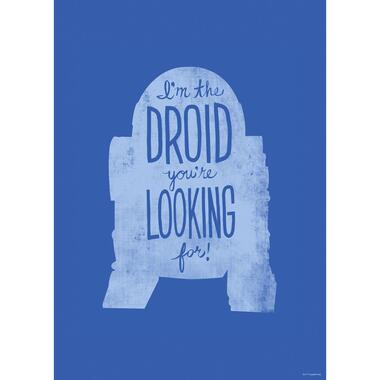 Disney poster - R2D2 quotes - blauw - 50 x 70 cm - 612173 product