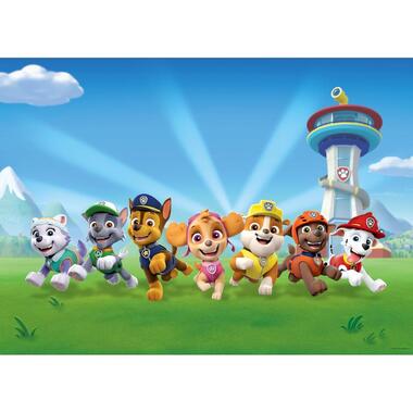 Sanders & Sanders poster - PAW patrol - blauw en groen - 160 x 110 cm product