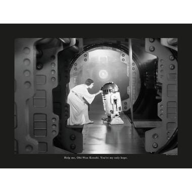 Disney poster - Star Wars Leia & R2D2 - zwart wit - 40 x 30 cm product