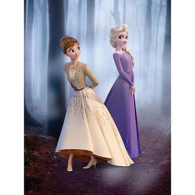 Disney poster - Frozen - multicolor - 30 x 40 cm - 610140 product