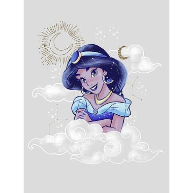 Disney poster - jasmijn alladin - grijs en blauw - 30 x 40 cm - 611704 product