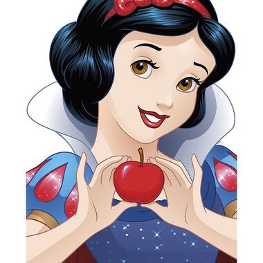 Disney poster - Sneeuwwitje - blauw en rood - 40 x 50 cm - 610138 product