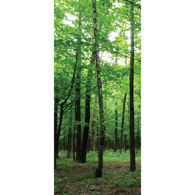 Sanders & Sanders poster - bosrijk landschap - groen - 90 x 202 cm product