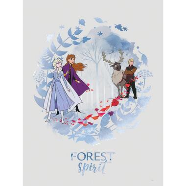 Disney poster - Frozen - blauw - 30 x 40 cm - 610143 product