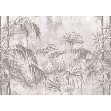 Sanders & Sanders affiche - plantes tropicales - gris - 1.1 x 1.55 m product