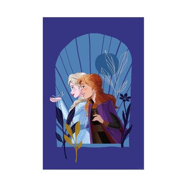 Disney poster - Frozen spotlijster - paars - 30 cm x 40 cm - 612840 product