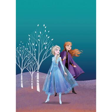 Disney poster - Frozen Anna & Elsa - blauw en paars - 50 x 70 cm product