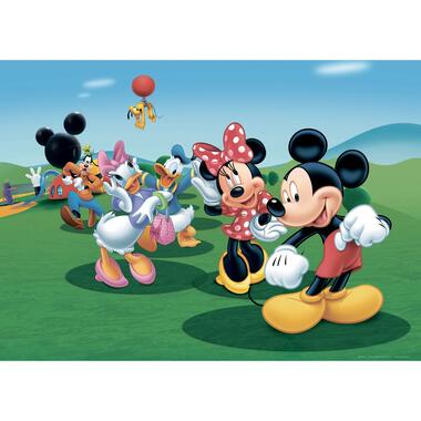 Disney poster papier - Mickey Mouse, Donald Duck & Goofy - groen, blauw en rood product