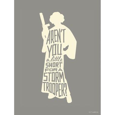 Disney poster - Leia quotes - grijs - 30 x 40 cm - 612162 product