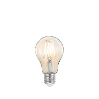 LABEL51 Source Lumineuse Ampoule LED à Fil de Carbone - Verre - M product