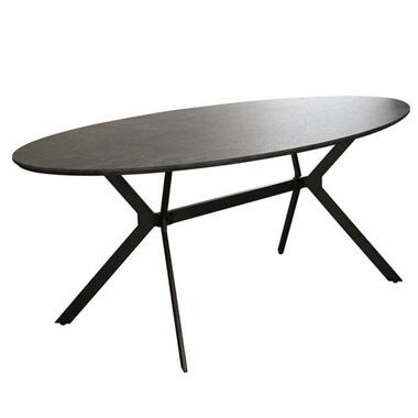 Hoyz - Eetkamertafel Ovaal - Bruin/Grijs - Voor 8 Personen - 240x105x76 product