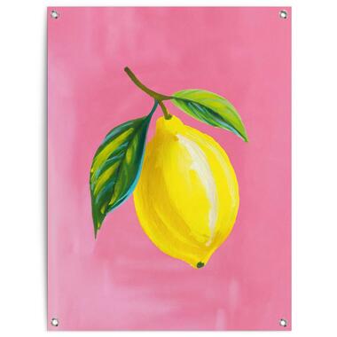 Tuinposter - Lemon on Pink - 80x60 cm Canvas product