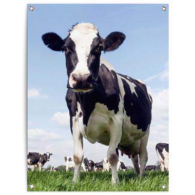 Tuinposter Dutch Cow - 80x60cm - Groen product