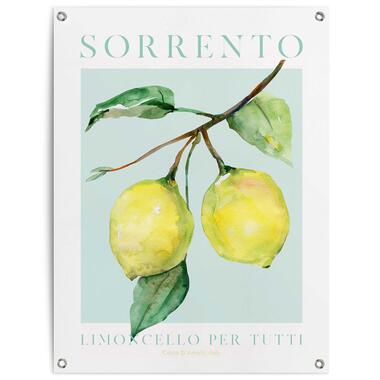 Poster de jardin - Lemon Portrait - 80x60cm product