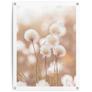 Poster de jardin - Branche de coton - 80x60cm product