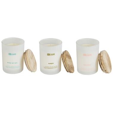 SIMPLICITY - Geurkaars set - Leer/Zeebries/Amber - Soja wax product