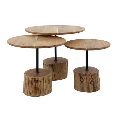 Hoyz Collection - Table basse Tronc d&#039;arbre - Bois d&#039;acacia - Lot de 3 product