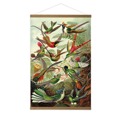 Art for the Home Hangende Poster Linnen - Hummingbirds - 80x60cm product