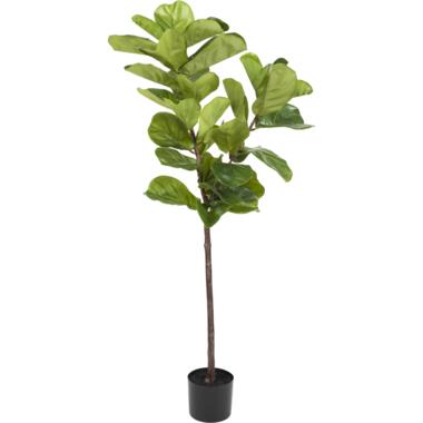 Hoyz Greenery - Plante artificielle Ficus Plante de tabac 150 cm product