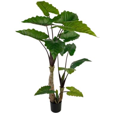 Hoyz Greenery - Kunstplant Calocasia 180 cm product