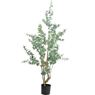 Hoyz Greenery - Kunstplant Eucalyptus 180 cm product