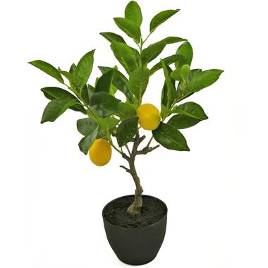 Hoyz Greenery - Kunst Citroenboom 40 cm in sierpot zwart product