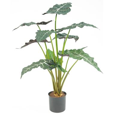 Hoyz Greenery - Plante artificielle Alocasia 67 cm product