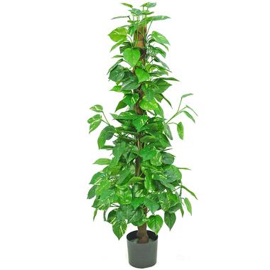 Hoyz Greenery - Plante artificielle Pothos 150 cm product