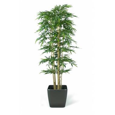 Hoyz Greenery - Plante de bambou artificielle 300 cm ignifuge product