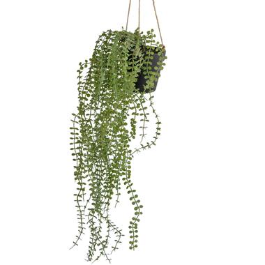 Hoyz Greenery - Plante artificielle suspendue Pumila 81 cm en pot product