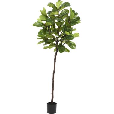 Hoyz Greenery - Kunstplant Ficus Tabaksplant 210 cm product