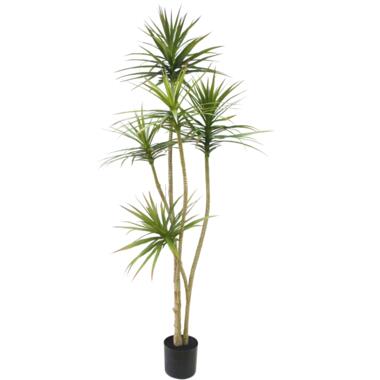 Hoyz Greenery - Kunstplant Dracaena Fragnans 180 cm product