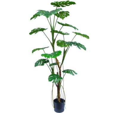 Hoyz Greenery - Kunstplant Monstera 180 cm product