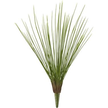 Hoyz Greenery - Kunstgras Royal Grass 60 cm product