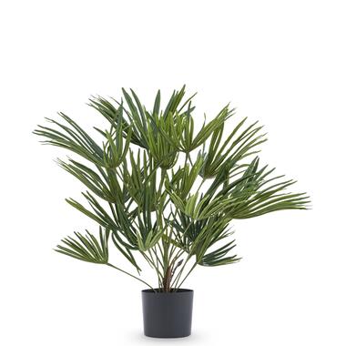 Hoyz Greenery - Plante artificielle Baby Palm Fan en pot 50 cm product