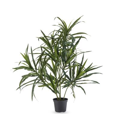 Hoyz Greenery - Plante artificielle Dracaena Reflexa en pot 63 cm product